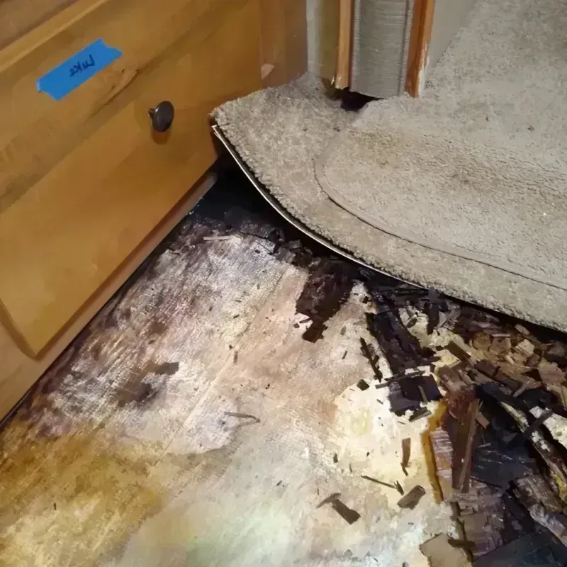 Wood Floor Water Damage in Newton County, GA